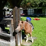 招待所 格拉芬古特旅馆 拉德施塔特