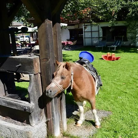 Gasthof Grafengut Radstadt