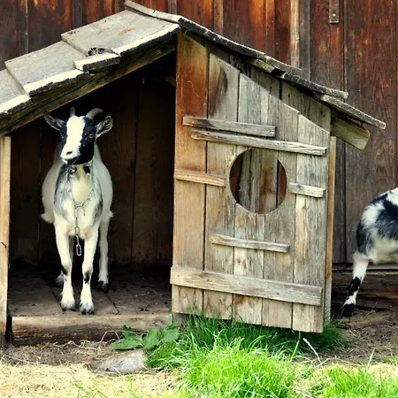 Grafengut 3* Radstadt