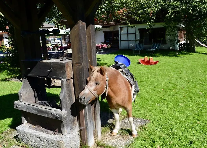Pensión Grafengut Radstadt