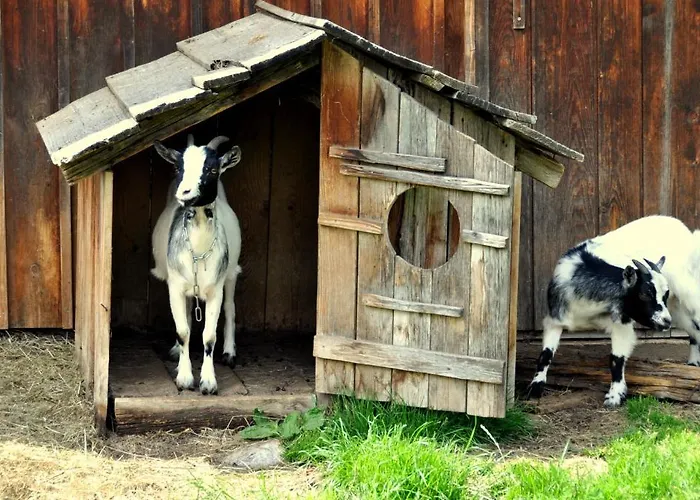 Grafengut 3* Radstadt